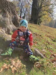 Na hukvaldech u obory
